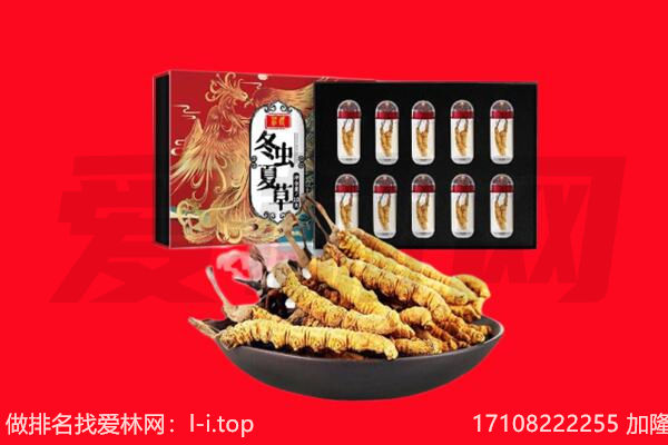 贡山县回收虫草.jpg